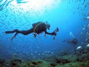 Fethiye scuba diving